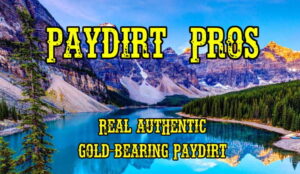 gold paydirt